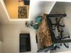 1514 E Los Angeles Ave photo